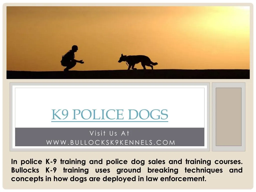 k9 police dogs