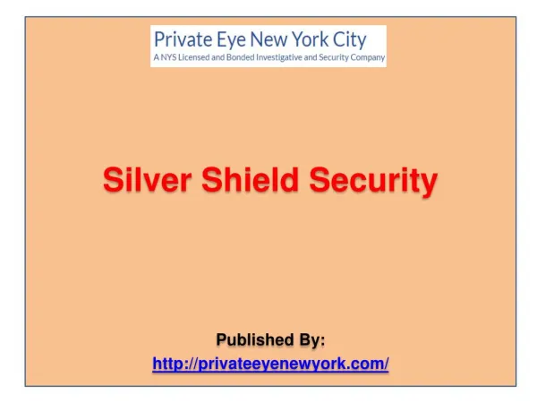 Silver Shield Security LLC