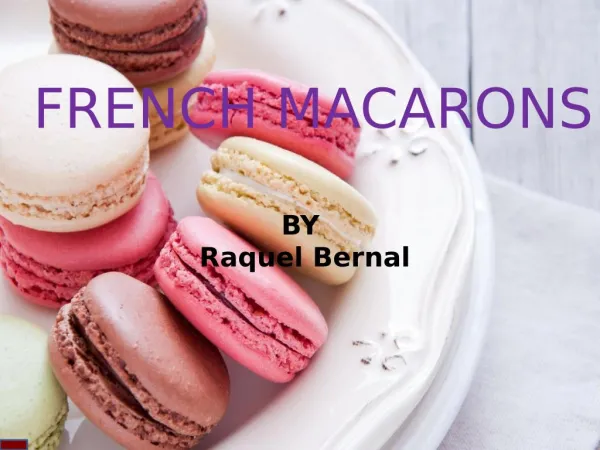 Raquel Bernal - French Macarons