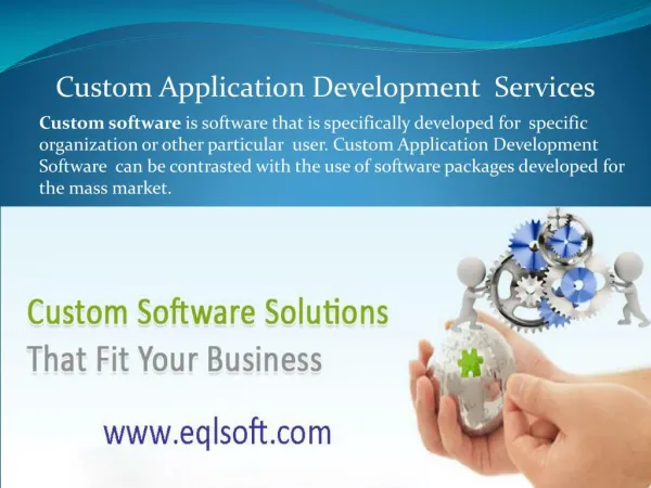 Custom Application Software Development