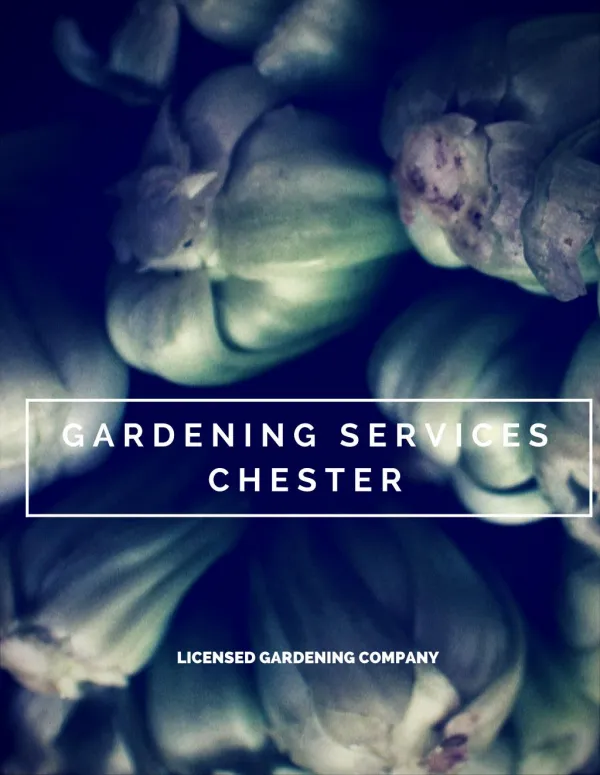Gardening Services Chester
