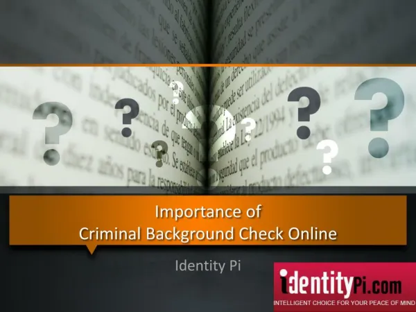 Importance of Criminal Background Check Online