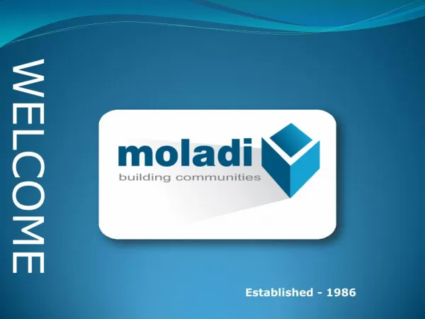 moladi Building System