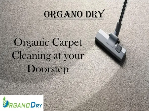 Organic Carpet Cleaning at your Doorstep