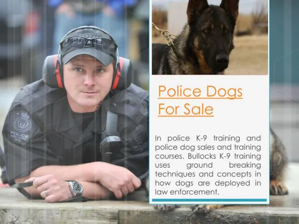 Police Dog Training