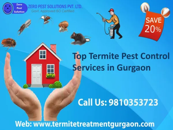 Top termite pest control services in gurgaon call 9810353723