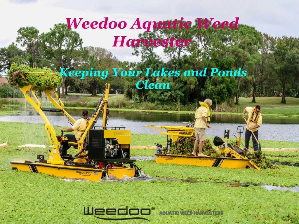 weedoo aquatic weed harvester