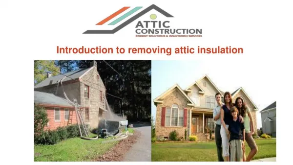 Insulation Removal Services and Repair