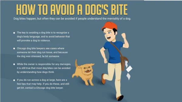 How to avoid a dog’s bite