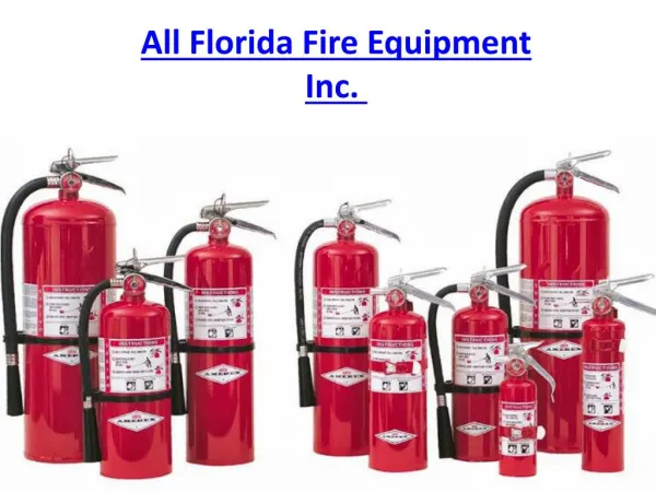 All Florida Fire Equipment Inc.