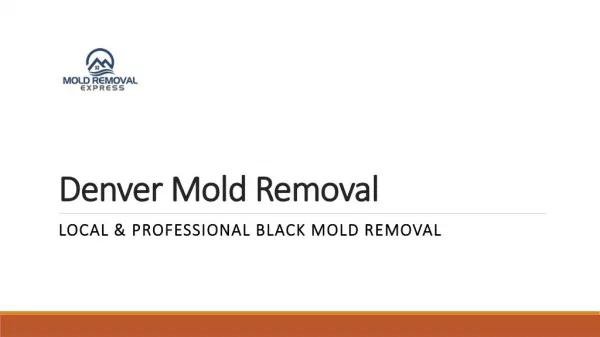 Professional non-viable mold testing services