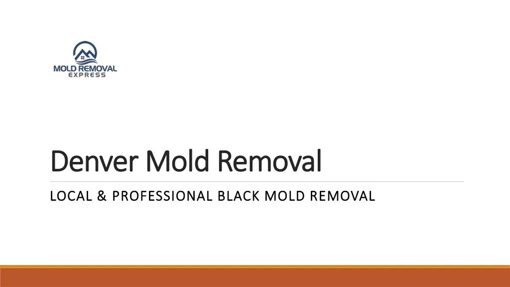 denver mold removal