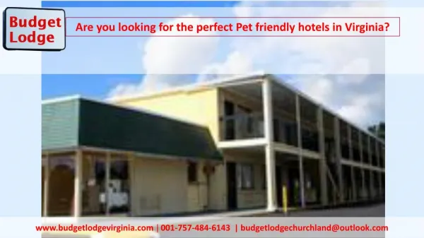 Are you looking for the perfect Pet friendly hotels in Virginia?