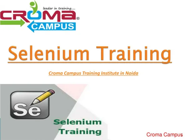 Selenium training institute in Noida