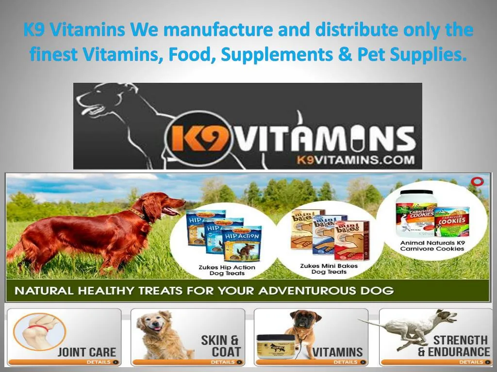k9 vitamins we manufacture and distribute only the finest vitamins food supplements pet supplies