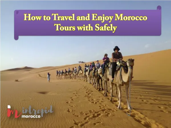 Explore Morocco with Us like Never Before
