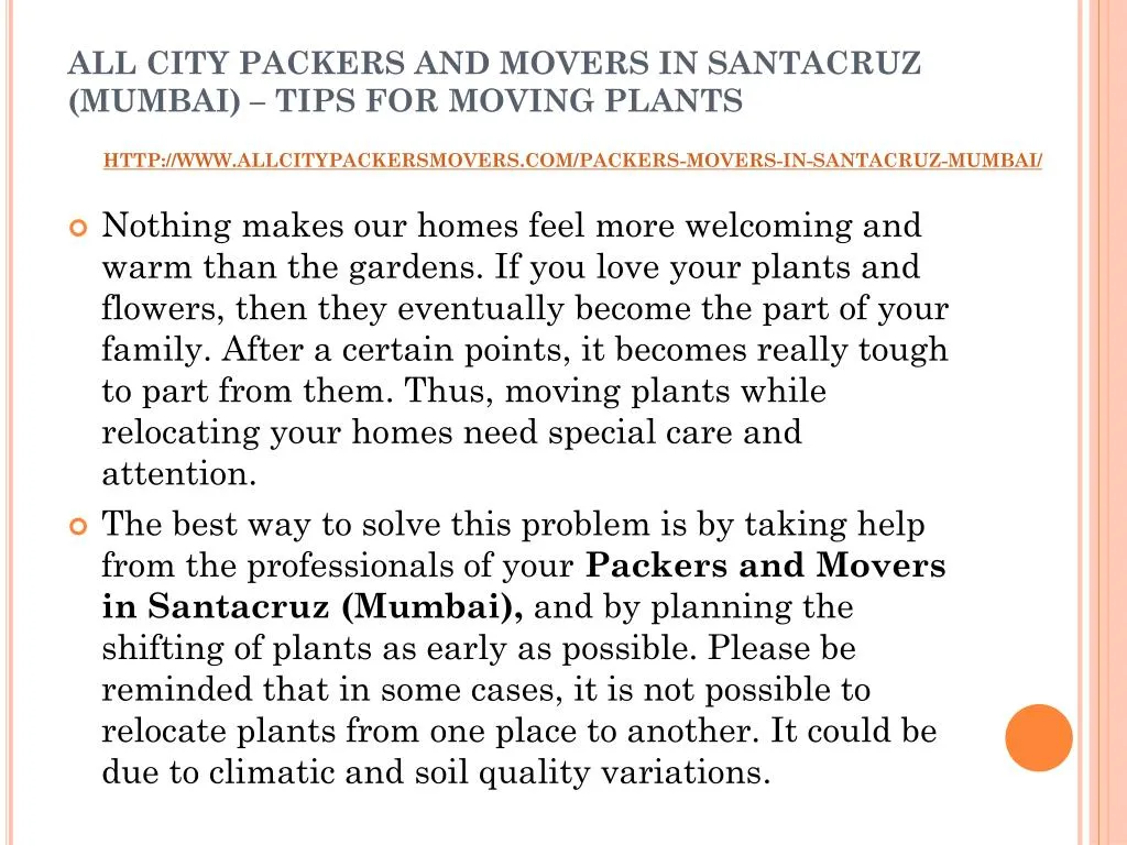 all city packers and movers in santacruz mumbai tips for moving plants