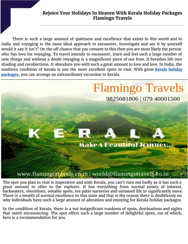 Rejoice Your Holidays In Heaven With Kerala Holiday Packages | Flamingo