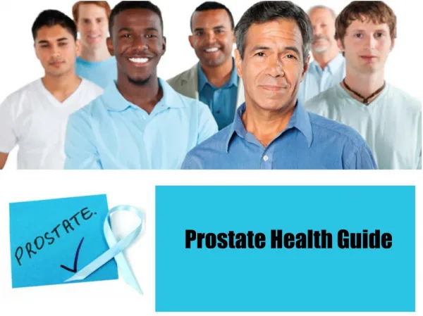 Prostate Health Guide