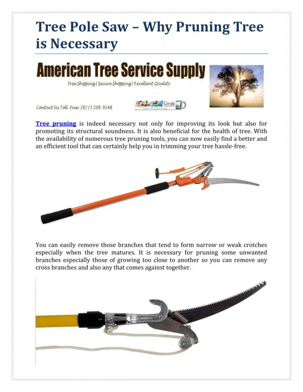 Tree Pole Saw – Why Pruning Tree is Necessary?