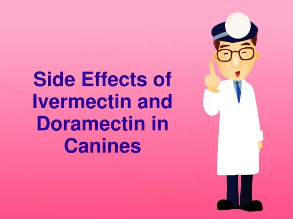 Side Effects of Ivermectin and Doramectin in Canines