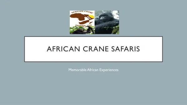 Book Best Deals Uganda Safari Tours | African Crane Safaris