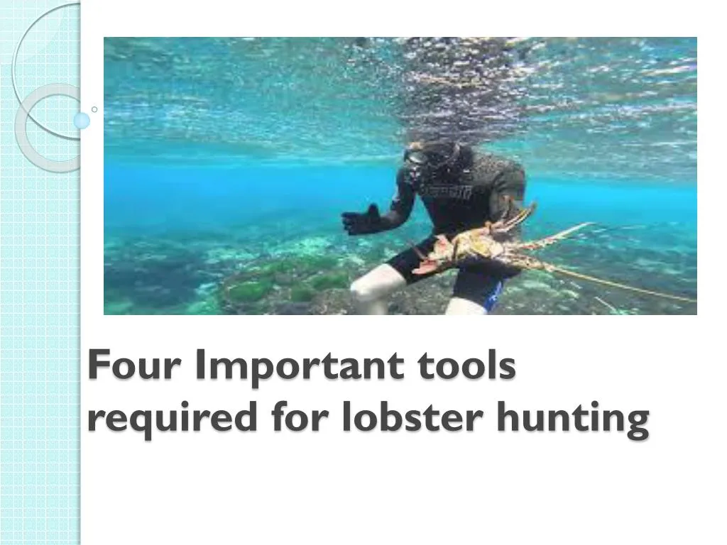 four important tools required for lobster hunting
