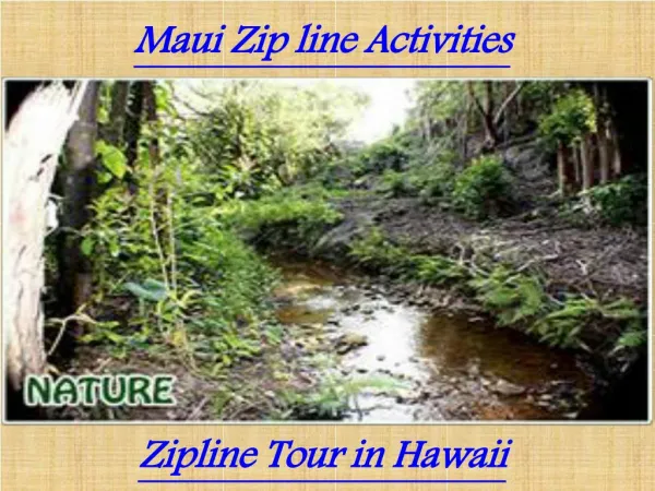 Maui Zipline Activities