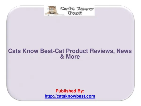 Cat Product Reviews, News & More