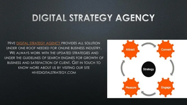 Digital Strategy Agency