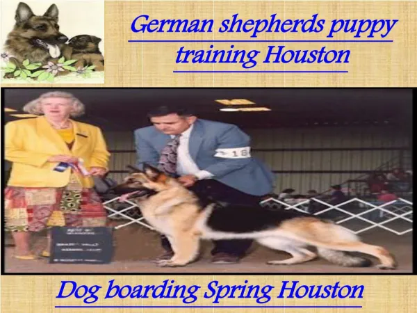 German shepherds puppy training Houston