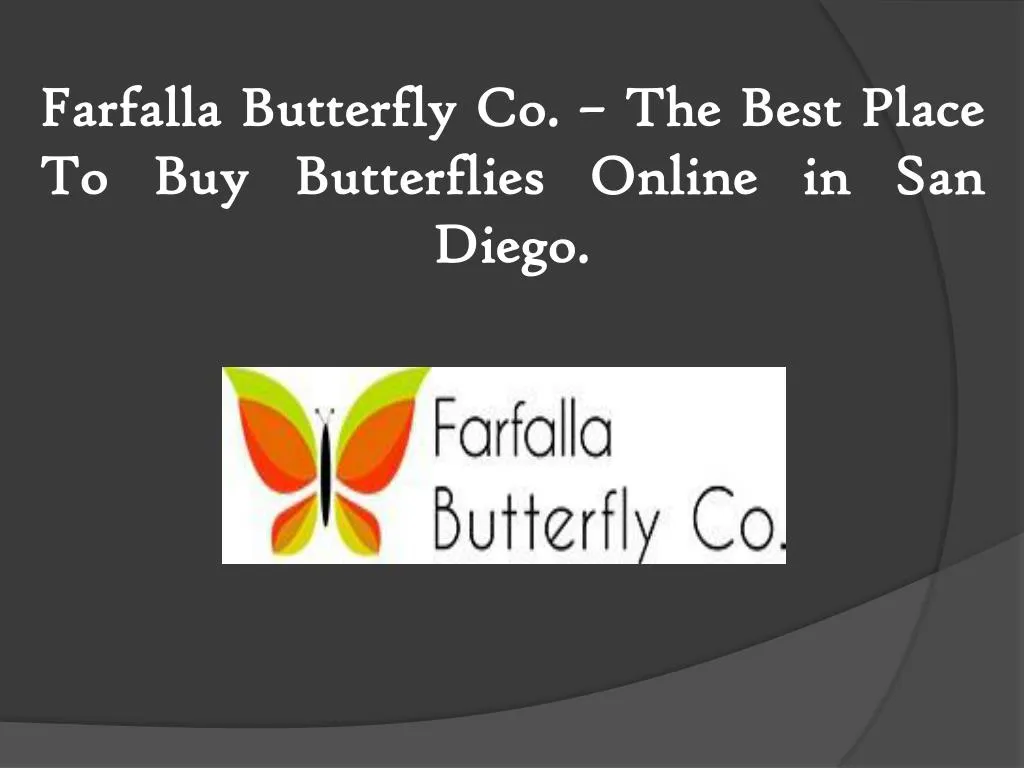 farfalla butterfly co the best place to buy butterflies online in san diego