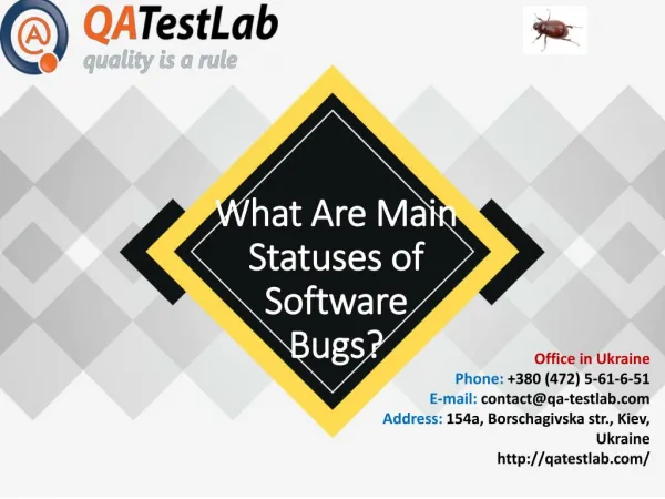 What Are Main Statuses of Software Bugs?