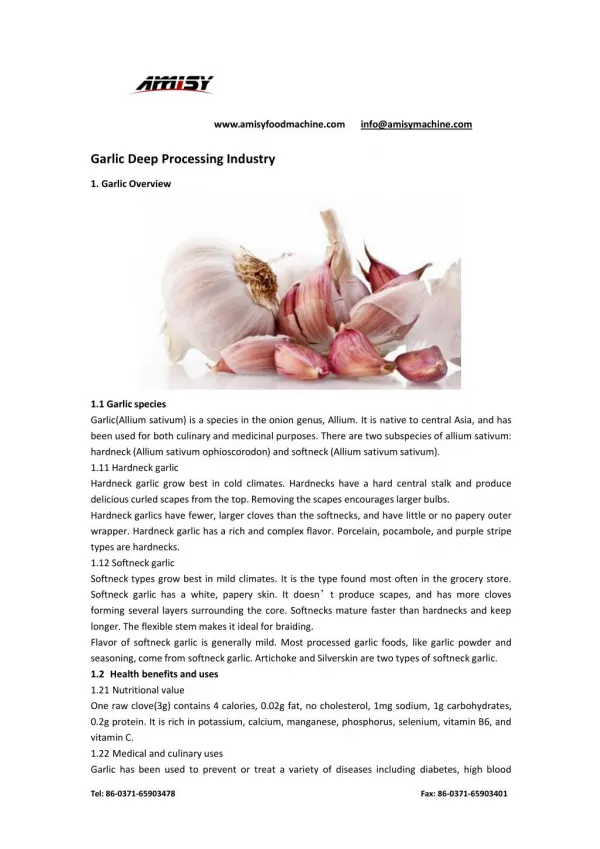 Garlic Deep Processing Industry