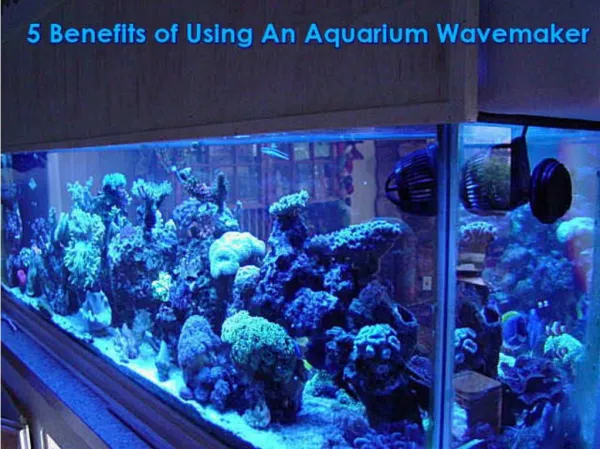 5 Advantages of Aquarium wavemaker