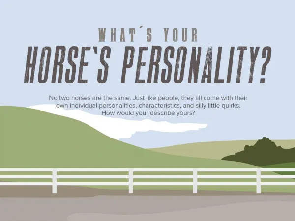 What's Your Horse's Personality?