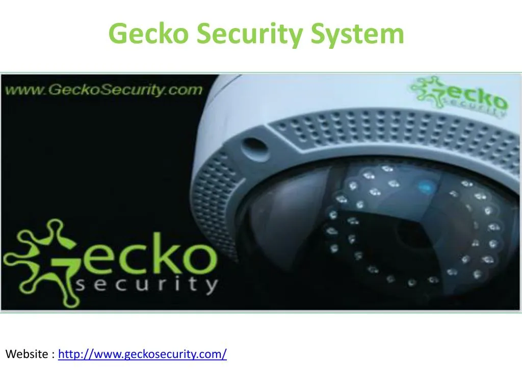 gecko security system