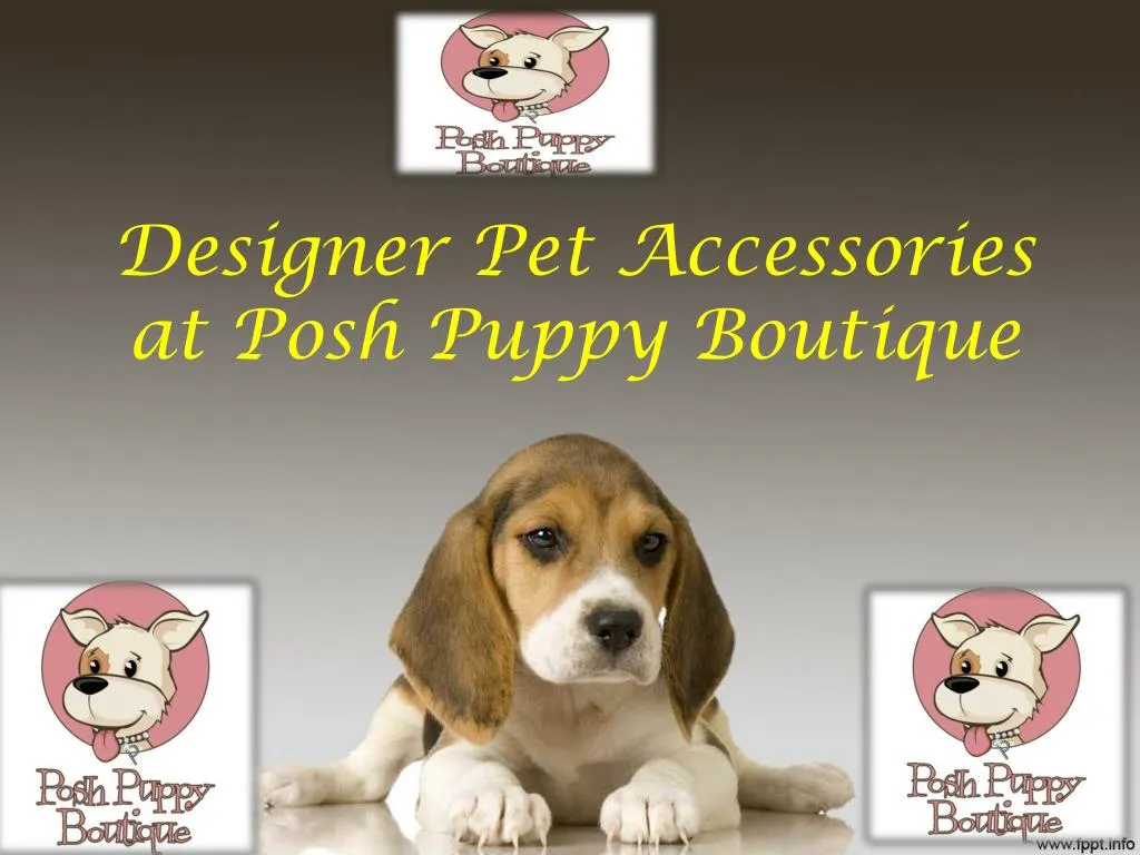 designer pet accessories at posh puppy boutique