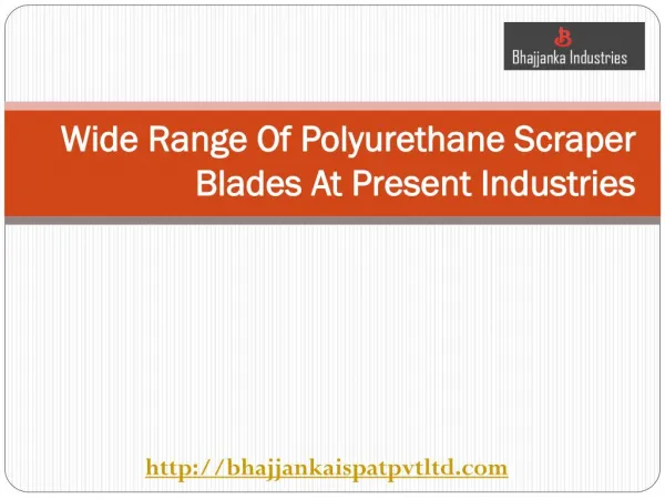 Wide Range Of Polyurethane Scraper Blades At Present Industries