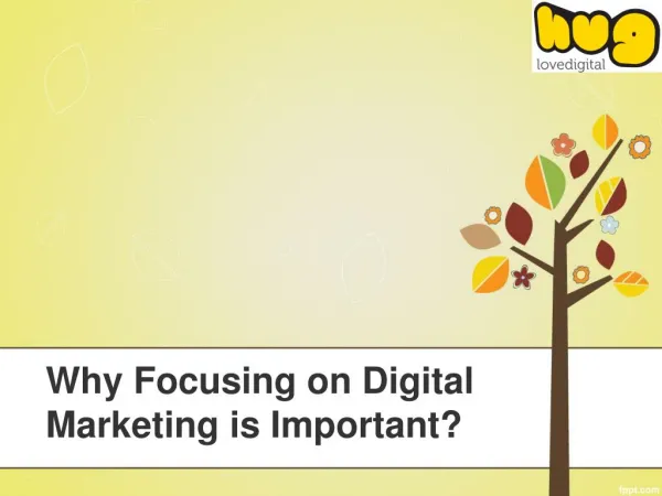 Why Focusing on Digital Marketing is Important?