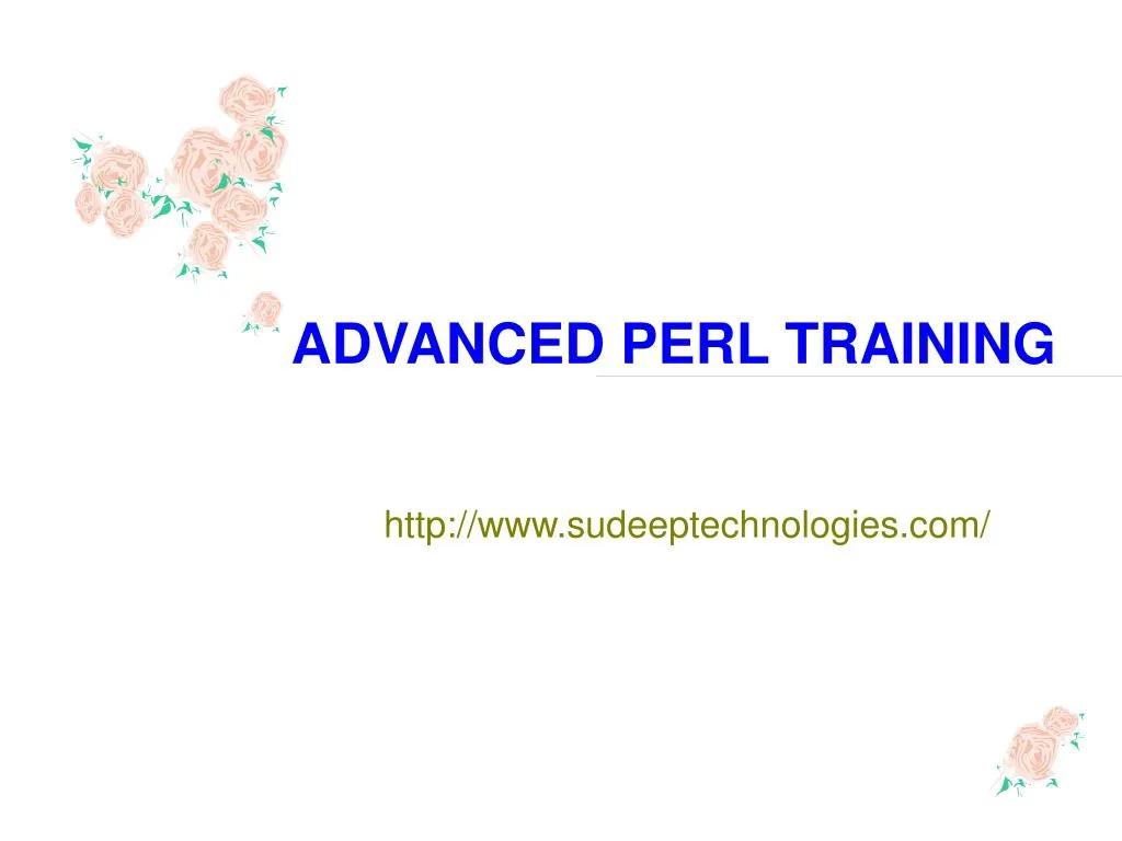 advanced perl training