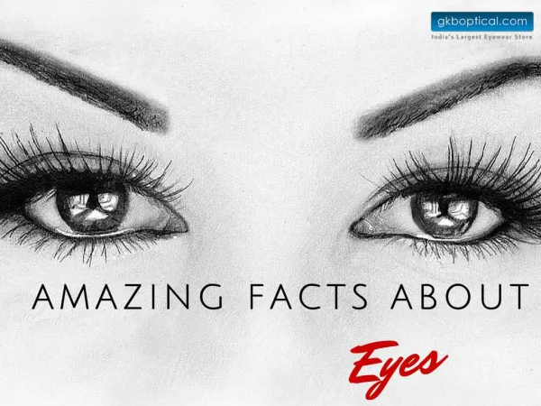 Amazing Facts About Human Eyes