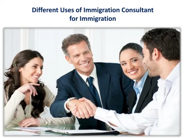 Different Uses of Immigration Consultant for Immigration