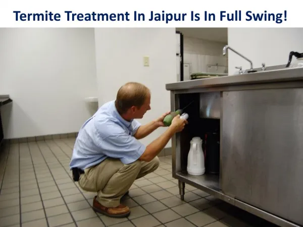 Termite Treatment In Jaipur Is In Full Swing!
