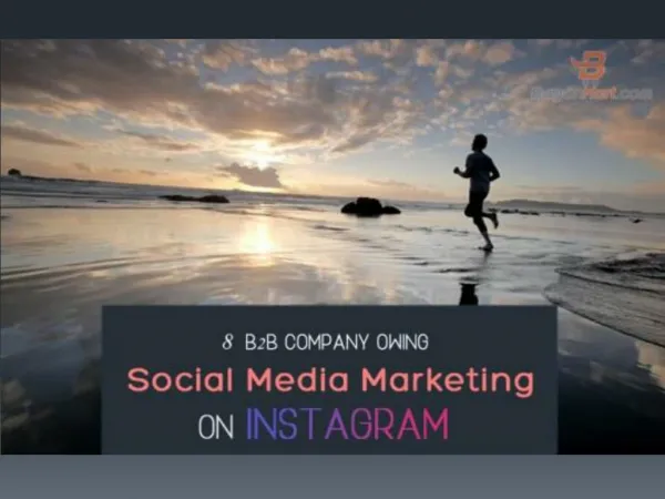 8 B2B Companies Owing Social Media Marketing On Instagram