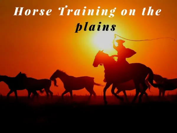 Horse training on the plains