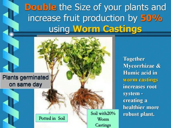 Double the Size of your plants and increase fruit production by 50 using Worm Castings