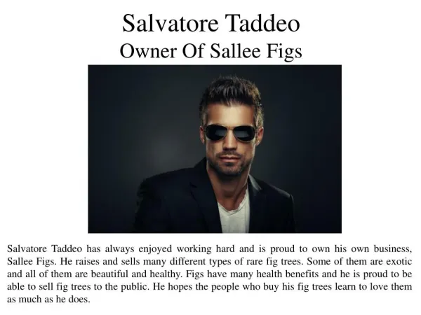 Salvatore Taddeo - Owner Of Sallee Figs