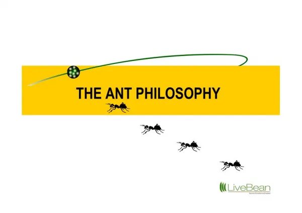 The ant philosophy