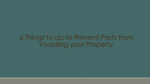 6 Things to do to Prevent Pests from Invading your Property